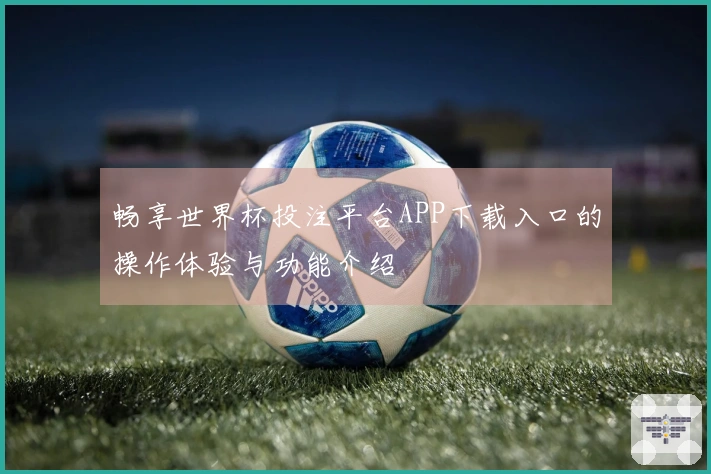 畅享世界杯投注平台APP下载入口的操作体验与功能介绍