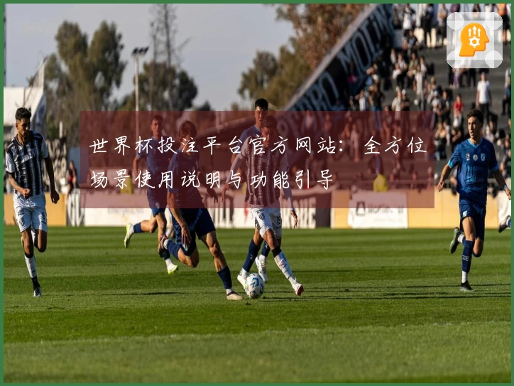 世界杯投注平台官方网站：全方位场景使用说明与功能引导