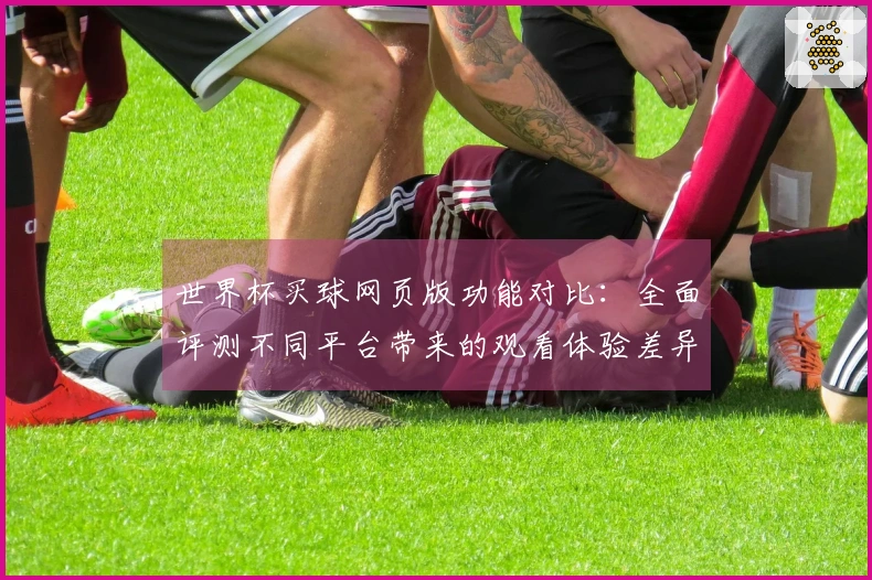 世界杯买球网页版功能对比：全面评测不同平台带来的观看体验差异