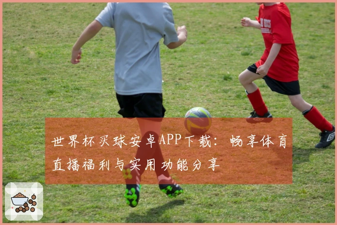 世界杯买球安卓APP下载：畅享体育直播福利与实用功能分享