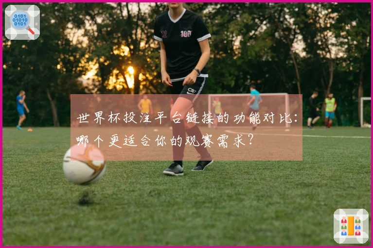世界杯投注平台链接的功能对比:哪个更适合你的观赛需求?