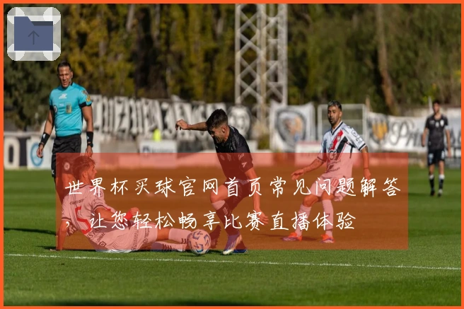 世界杯买球官网首页常见问题解答，让您轻松畅享比赛直播体验