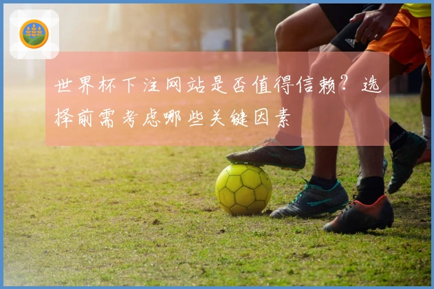世界杯下注网站是否值得信赖？选择前需考虑哪些关键因素