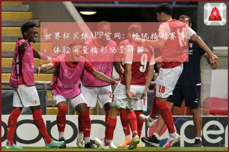 世界杯买球APP官网：畅玩精彩赛事，体验海量精彩场景详解