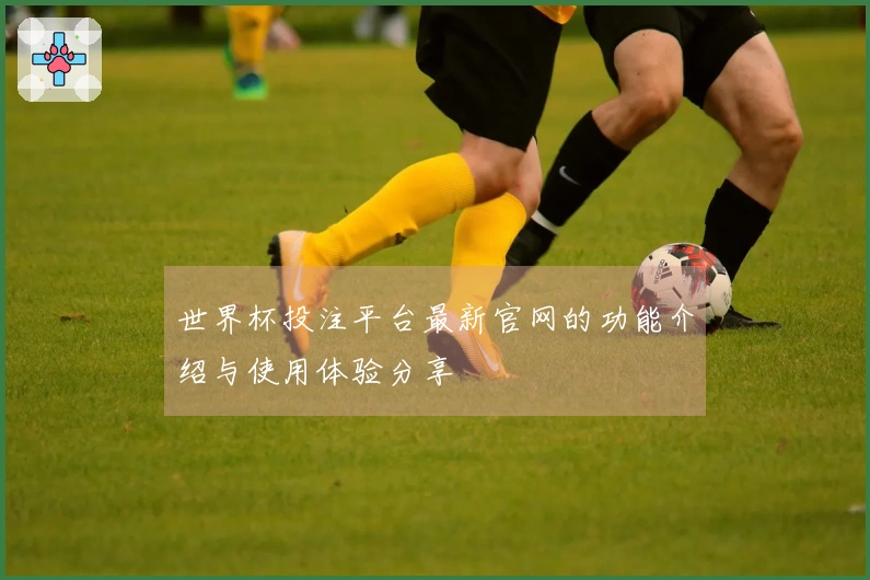 世界杯投注平台最新官网的功能介绍与使用体验分享