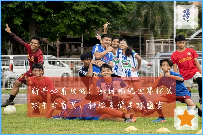 新手必看攻略：如何畅玩世界杯买球平台首页，轻松享受足球盛宴