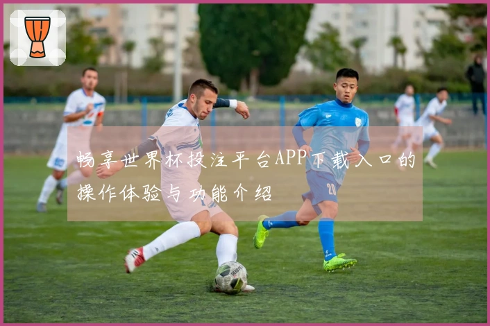 畅享世界杯投注平台APP下载入口的操作体验与功能介绍