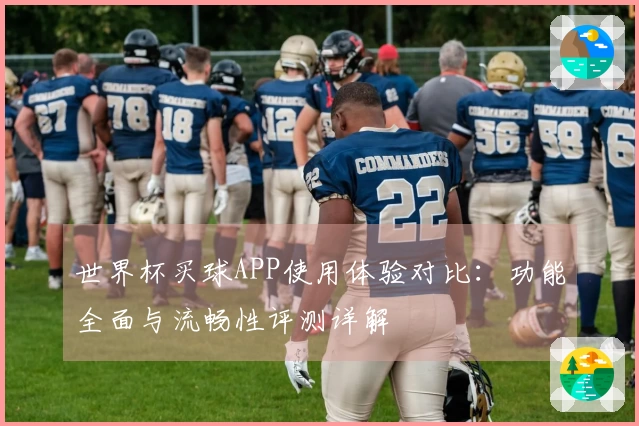 世界杯买球APP使用体验对比：功能全面与流畅性评测详解