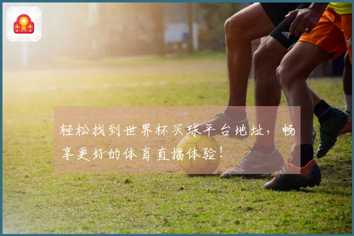 轻松找到世界杯买球平台地址，畅享更好的体育直播体验！